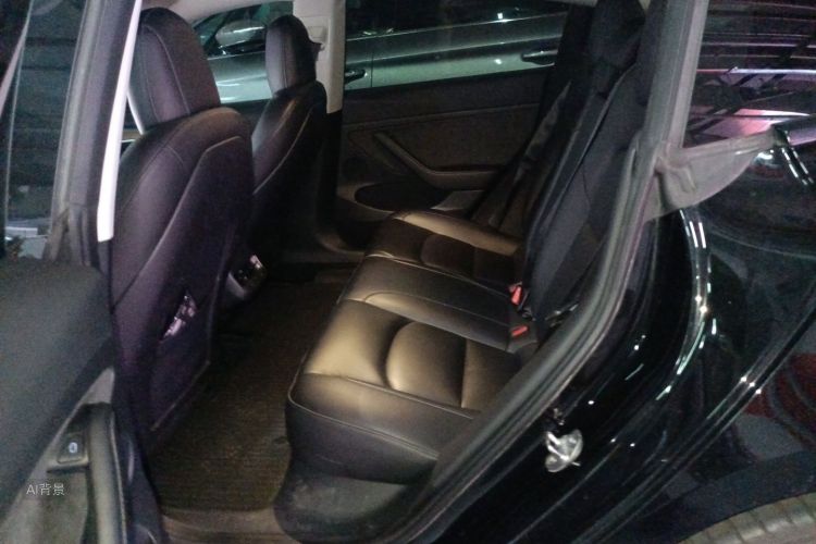 Tesla Model 3 2021 #19 Tesla Model 3 2021 car image #19