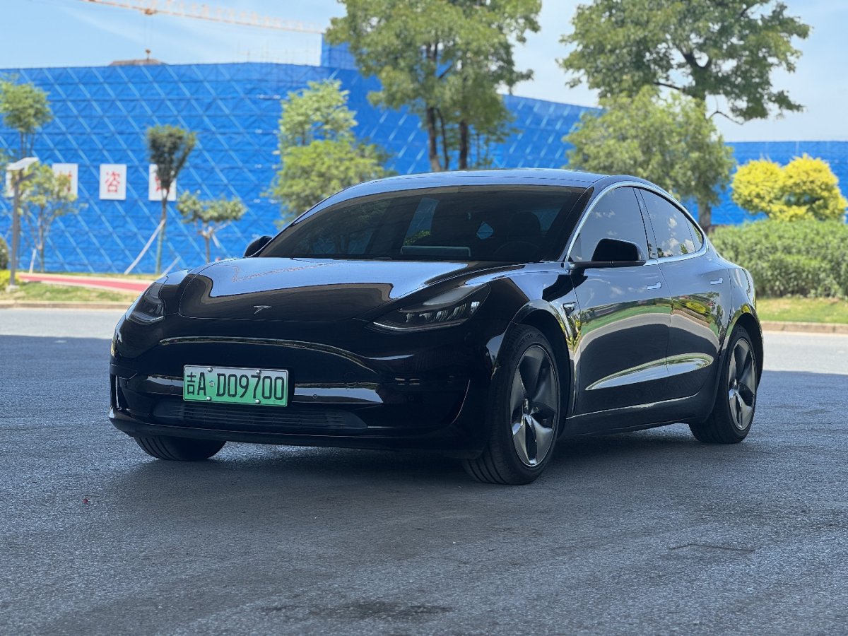Tesla Model 3 2020 Tesla Model 3 2020 car image
