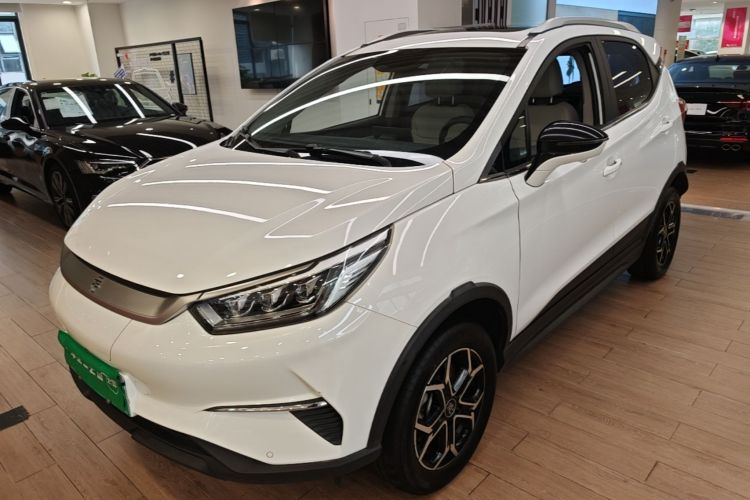 BYD Yuan Pro 2022 car image #2