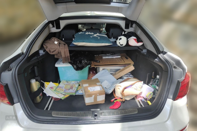 BMW 3 Series GT 2019 car image #21