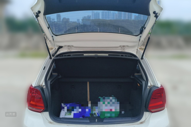 Volkswagen Polo 2016 car image #21