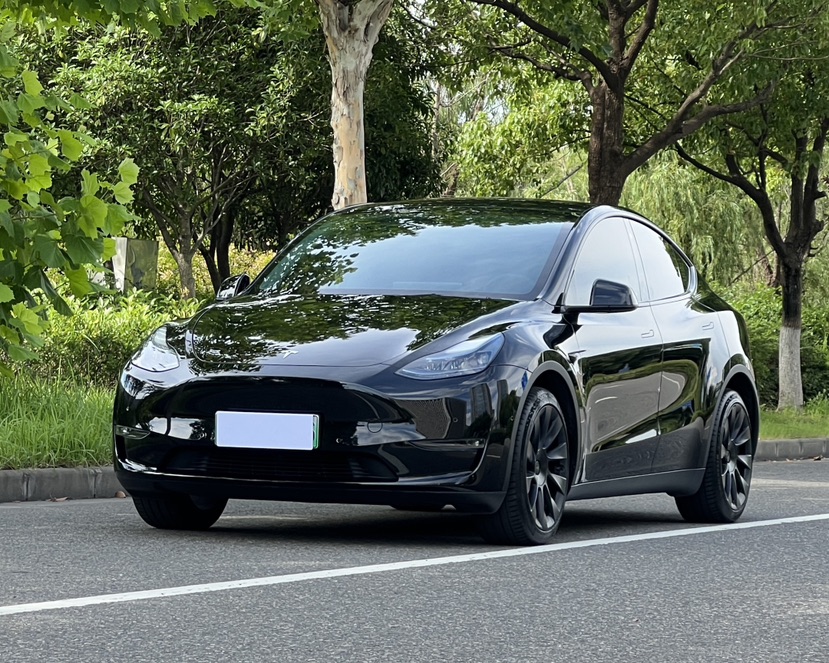 Tesla Model Y 2023 car image 