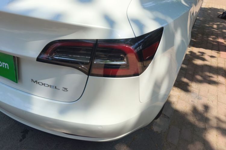 Tesla Model 3 2020 #8 Tesla Model 3 2020 car image #8