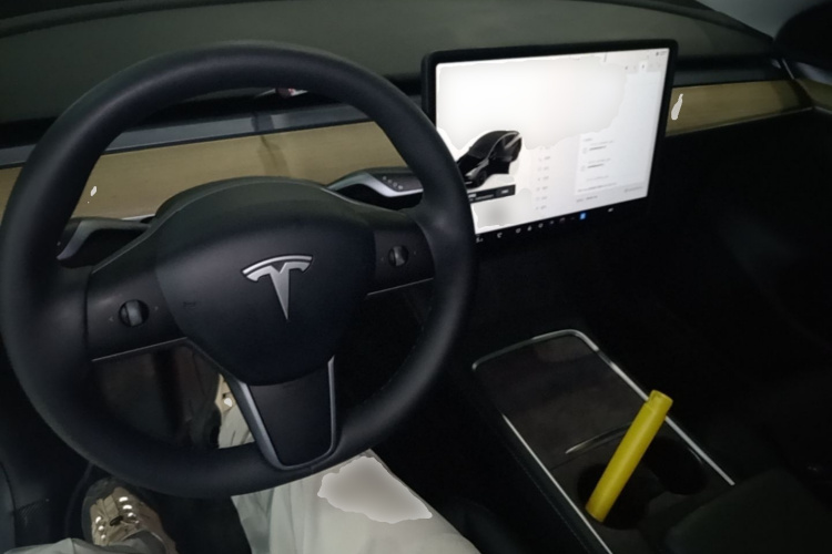 Tesla Model Y 2023 car image #10
