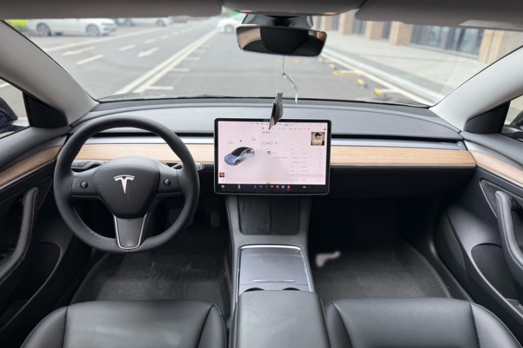 Tesla Model 3 2021 immagine di auto #18