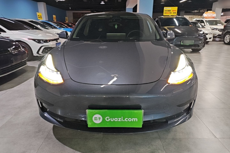 Tesla Model 3 2021 #3 Tesla Model 3 2021 car image #3