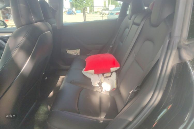 Tesla Model 3 2021 car image #19