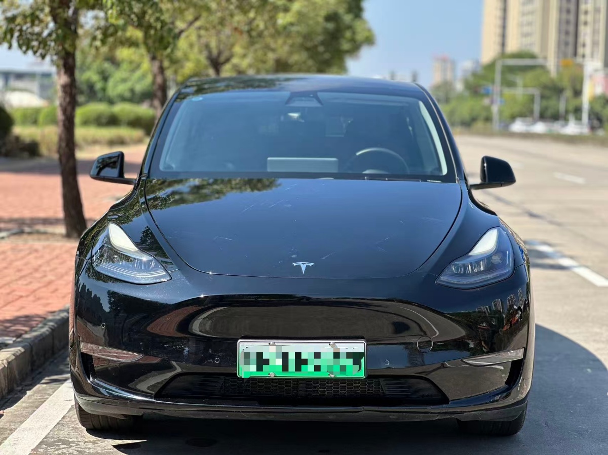 Tesla Model Y 2022 #2 Tesla Model Y 2022 صورة سيارة #2