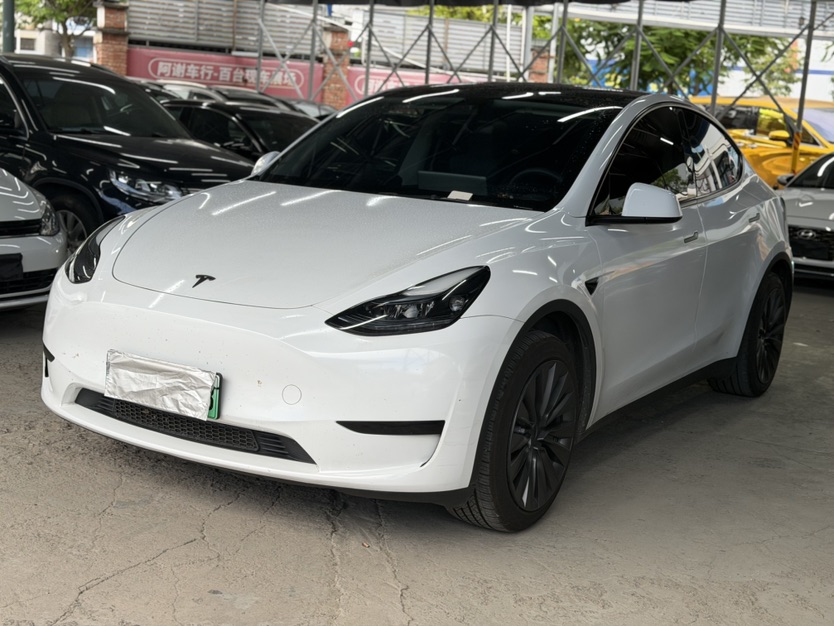 Tesla Model Y 2024 Tesla Model Y 2024 car image