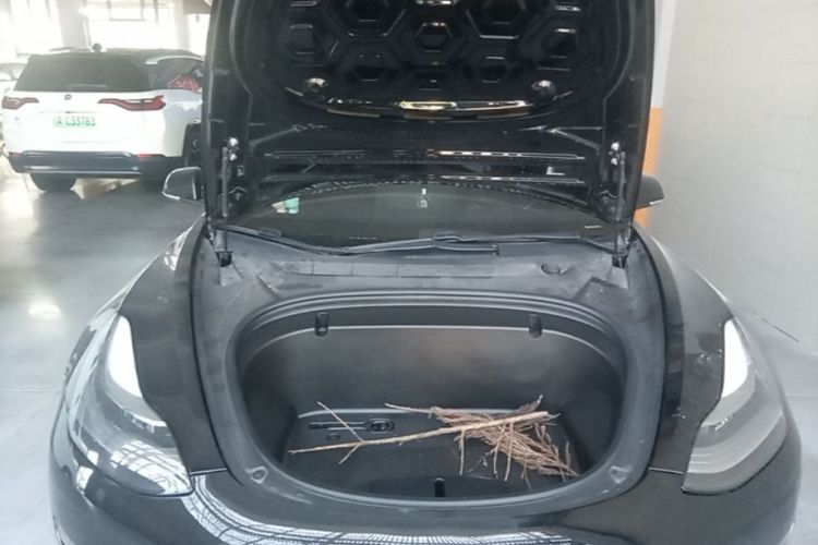 Tesla Model 3 2020 car image #22