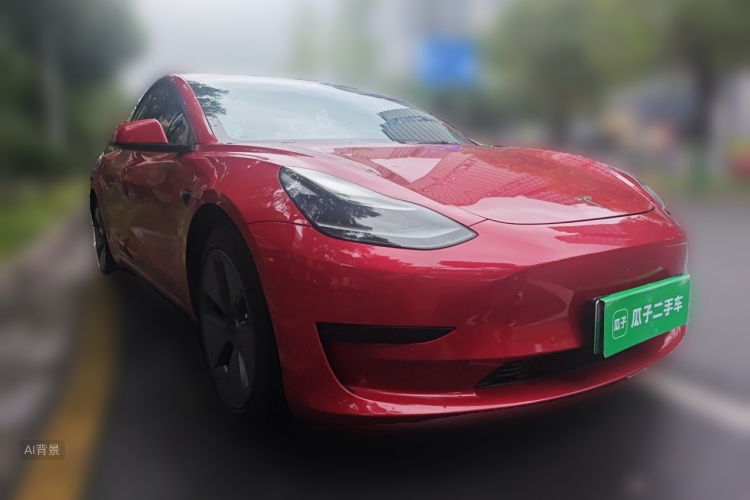 Tesla Model 3 2021 #4 Tesla Model 3 2021 car image #4