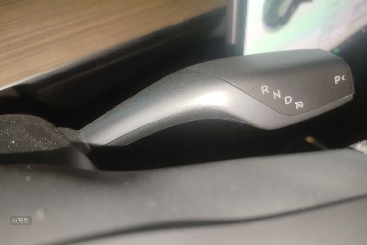 Tesla Model 3 2021 car image #16