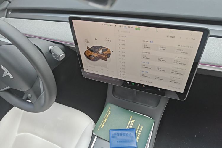 Tesla Model Y 2024 #13 Tesla Model Y 2024 car image #13