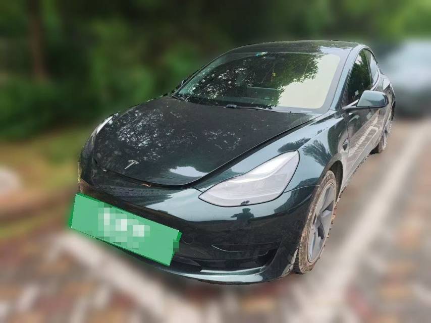 Tesla Model 3 2022 Tesla Model 3 2022 car image