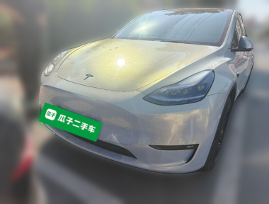 Tesla Model Y 2023 immagine di auto 