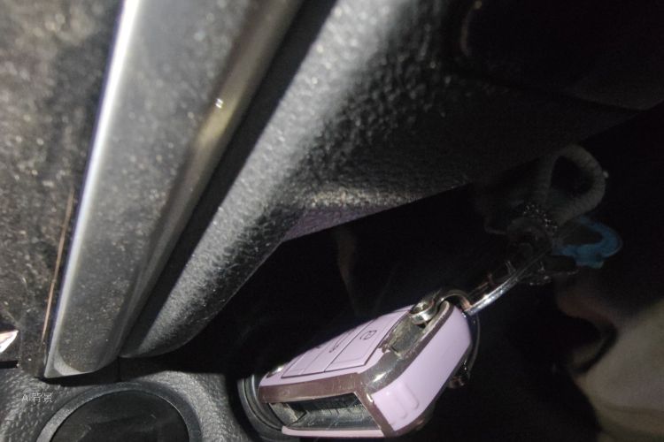 Volkswagen Polo 2021 immagine di auto #10