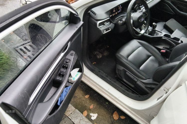 GEELY Emgrand 2022 car image #18