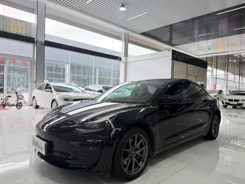 Tesla Model 3 2022 car image 