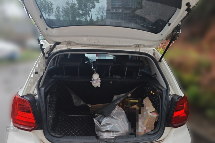 Volkswagen Polo 2017 car image #21