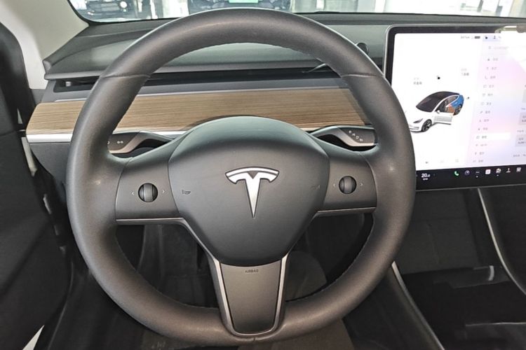 Tesla Model 3 2020 car image #12