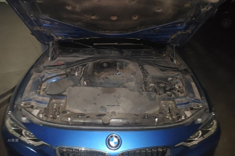 BMW 3 Series 2017 car image #22
