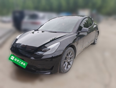 Tesla Model 3 2023 Tesla Model 3 2023 car image