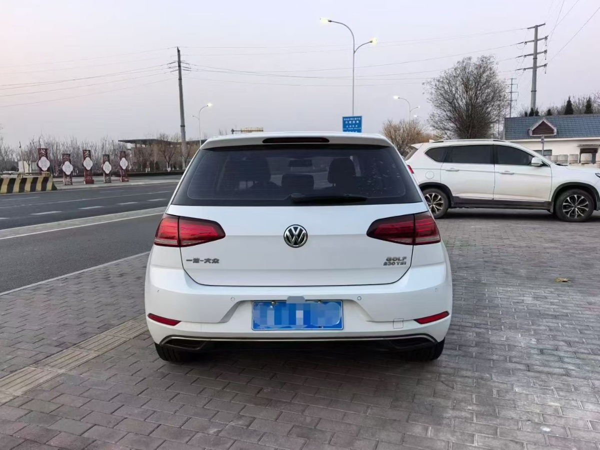Volkswagen Golf 2019 #5 Volkswagen Golf 2019 car image #5