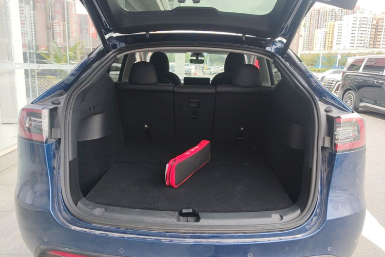 Tesla Model Y 2021 car image #19