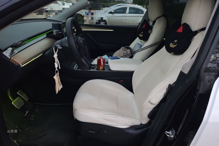 Tesla Model Y 2022 #17 Tesla Model Y 2022 car image #17