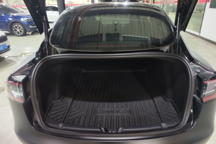 Tesla Model 3 2020 car image #19