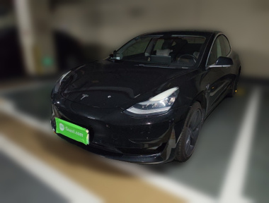 Tesla Model 3 2020 Tesla Model 3 2020 car image