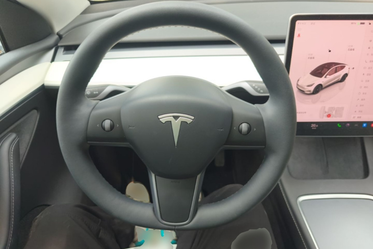 Tesla Model Y 2022 car image #11