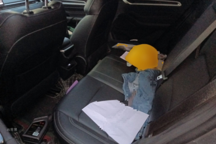 GEELY Emgrand 2025 immagine di auto #19