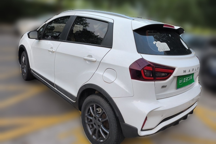 Livan X3 PRO 2023 car image #5