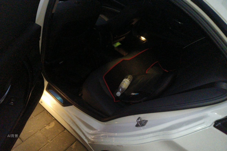 BMW 3 Series 2017 #19 BMW 3 Series 2017 car image #19