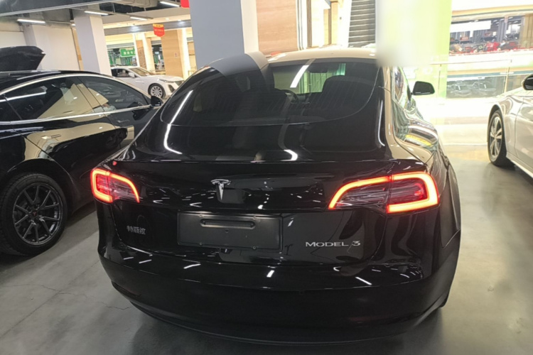 Tesla Model 3 2020 #6 Tesla Model 3 2020 car image #6