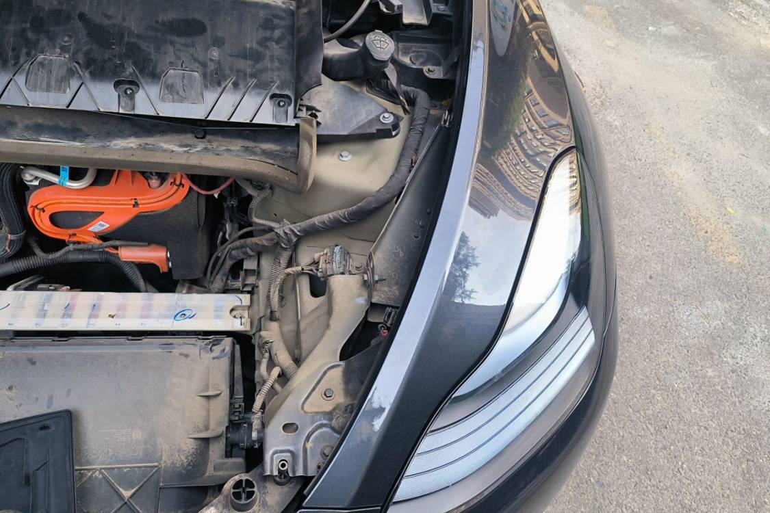 Tesla Model Y 2024 #12 Tesla Model Y 2024 car image #12