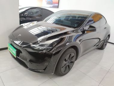 Tesla Model Y 2023 Tesla Model Y 2023 car image