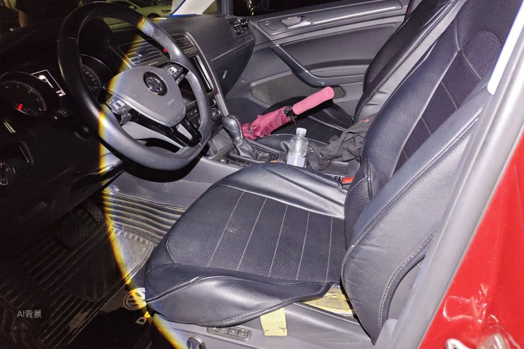 Volkswagen Golf 2018 car image #17