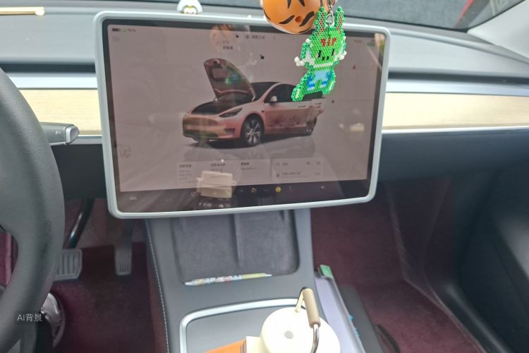 Tesla Model Y 2022 car image #15