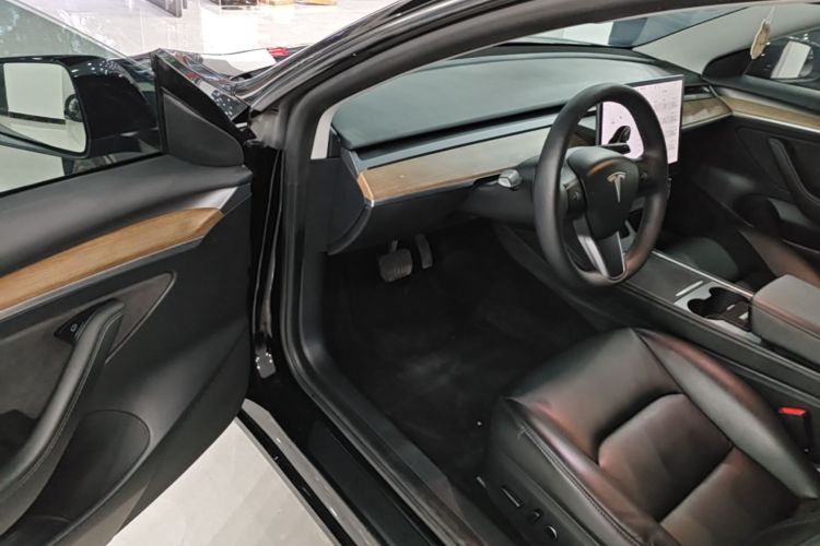 Tesla Model 3 2021 car image #16
