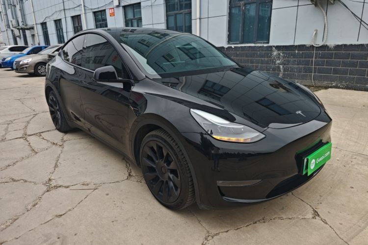 Tesla Model Y 2021 car image #6