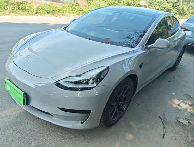 Tesla Model 3 2020 Tesla Model 3 2020 car image