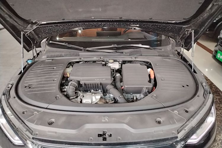 BYD Han 2022 car image #20