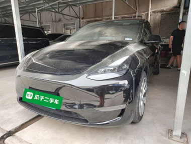 Tesla Model Y 2023 car image 