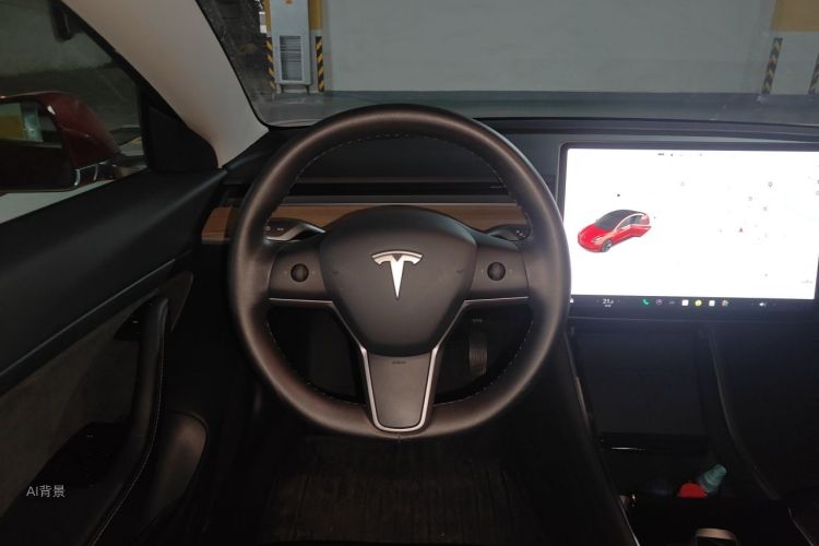 Tesla Model 3 2020 car image #12