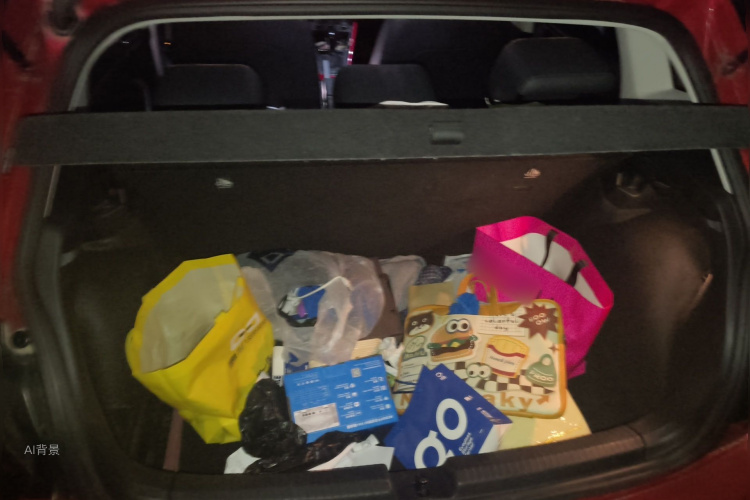 Volkswagen Polo 2020 car image #21