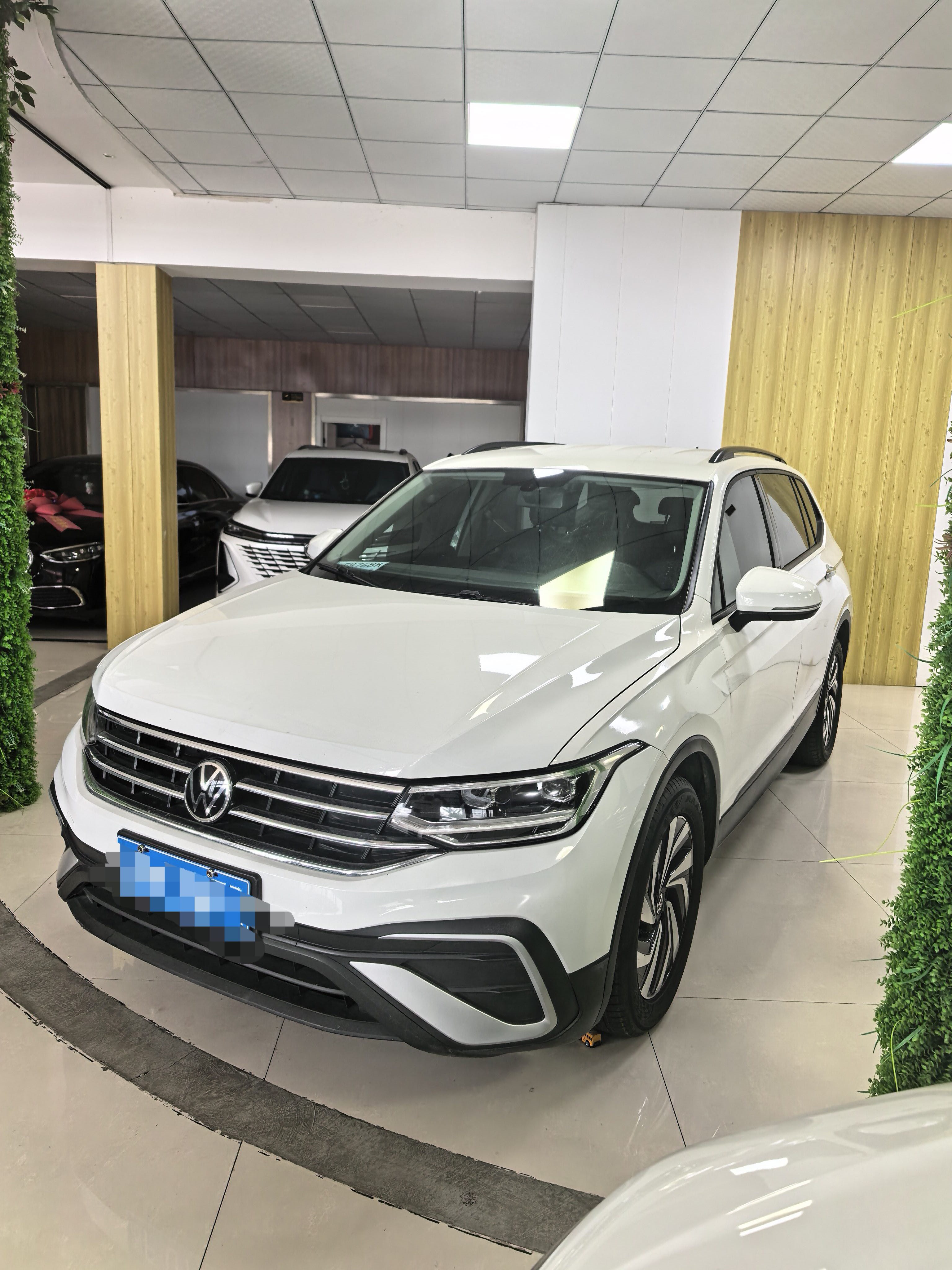 2019 2019 car image