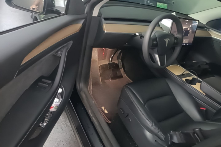 Tesla Model Y 2022 immagine di auto #16