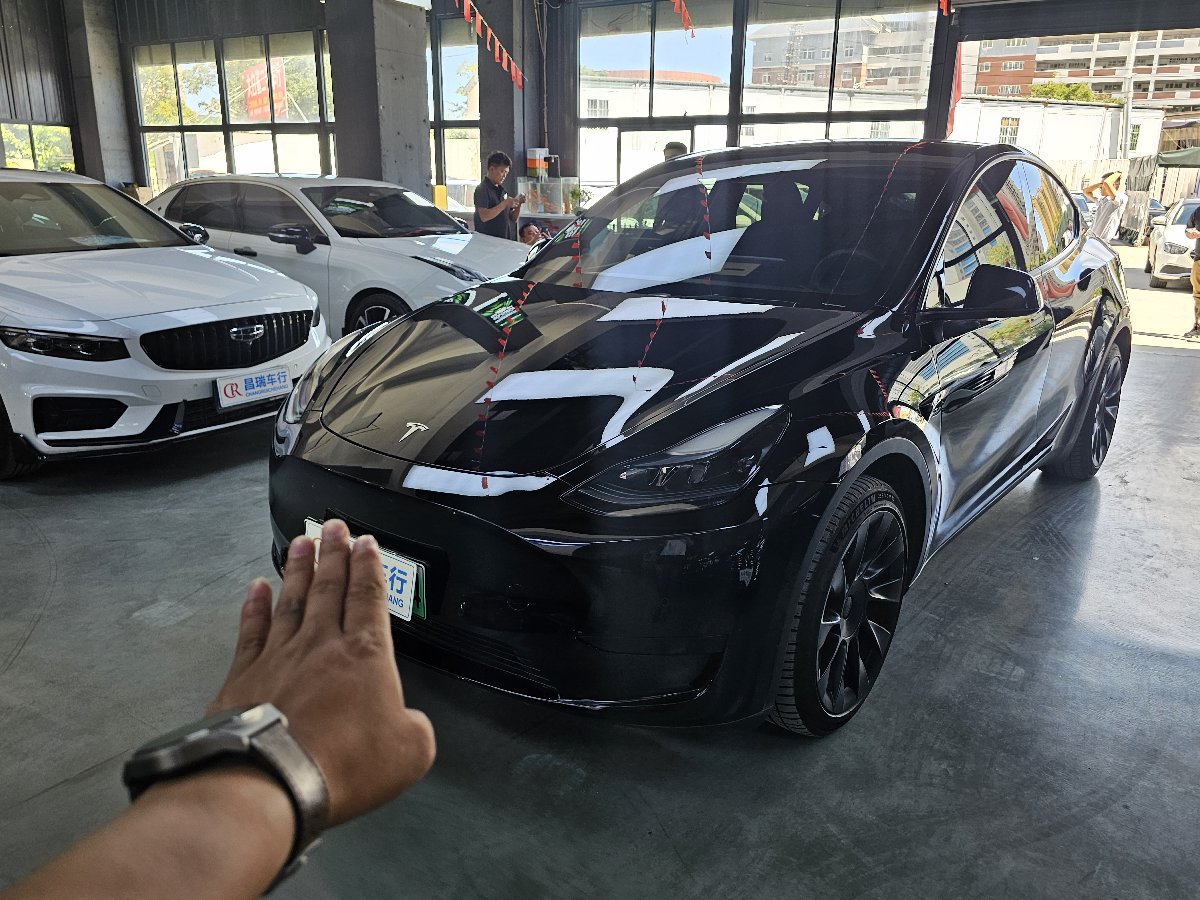Tesla Model Y 2023 Tesla Model Y 2023 car image